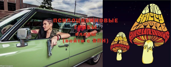 гашик Нязепетровск